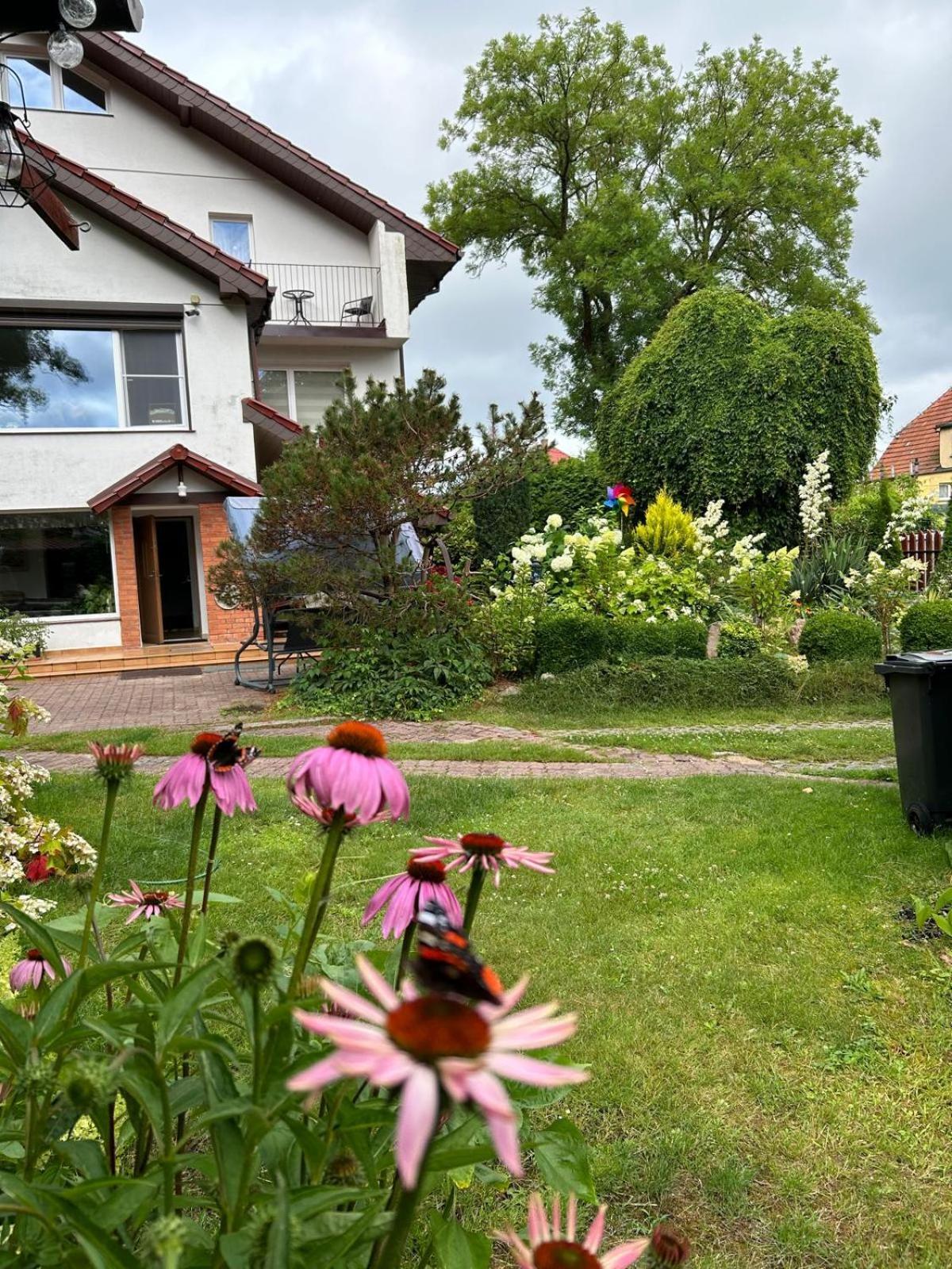 Villa Mielno-Eko Mielno  Bagian luar foto