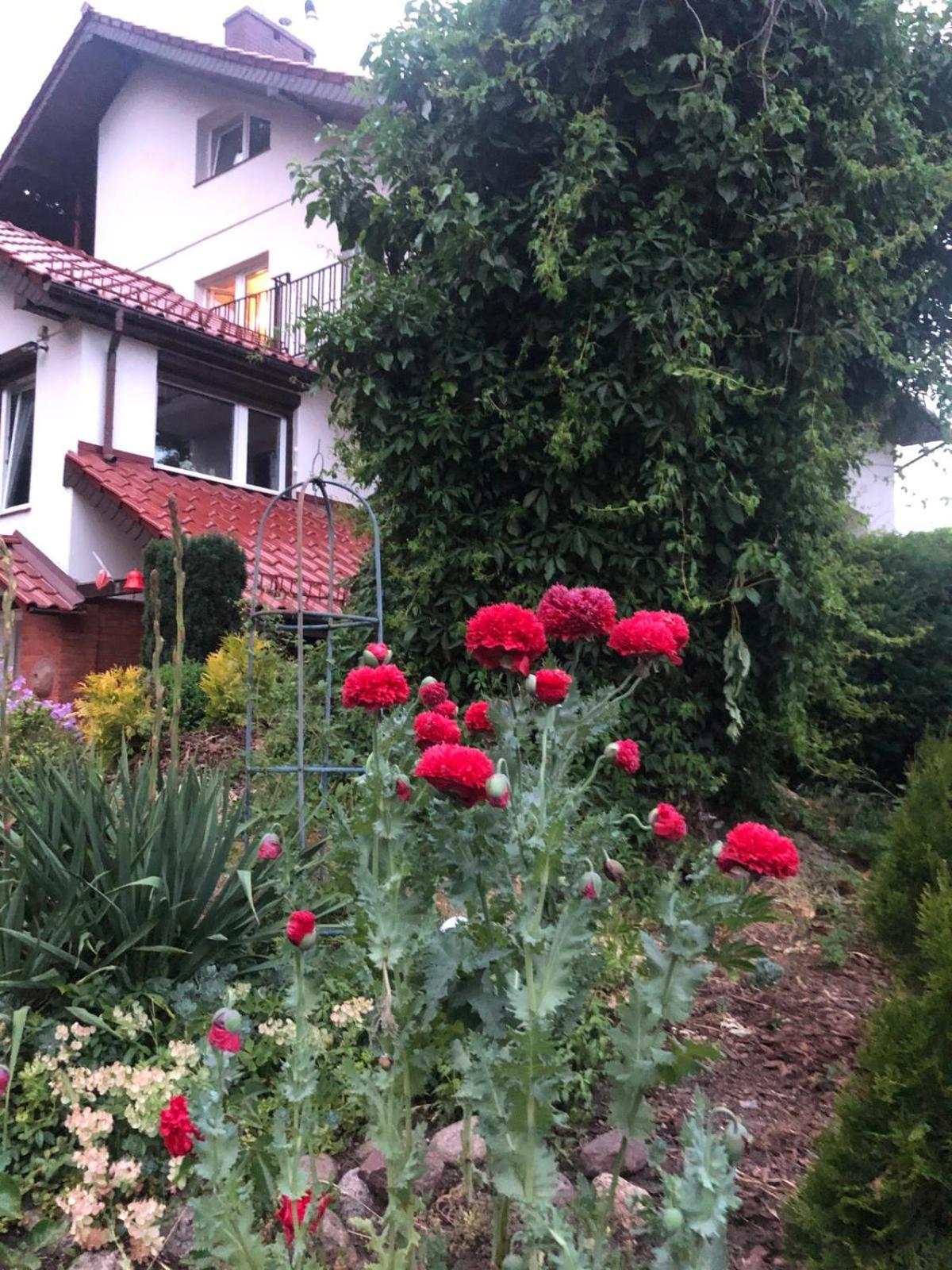 Villa Mielno-Eko Mielno  Bagian luar foto