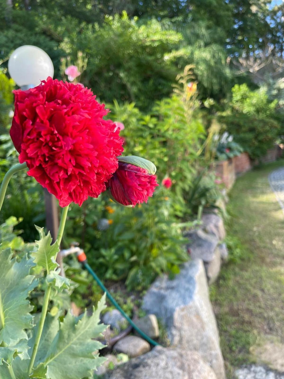 Villa Mielno-Eko Mielno  Bagian luar foto