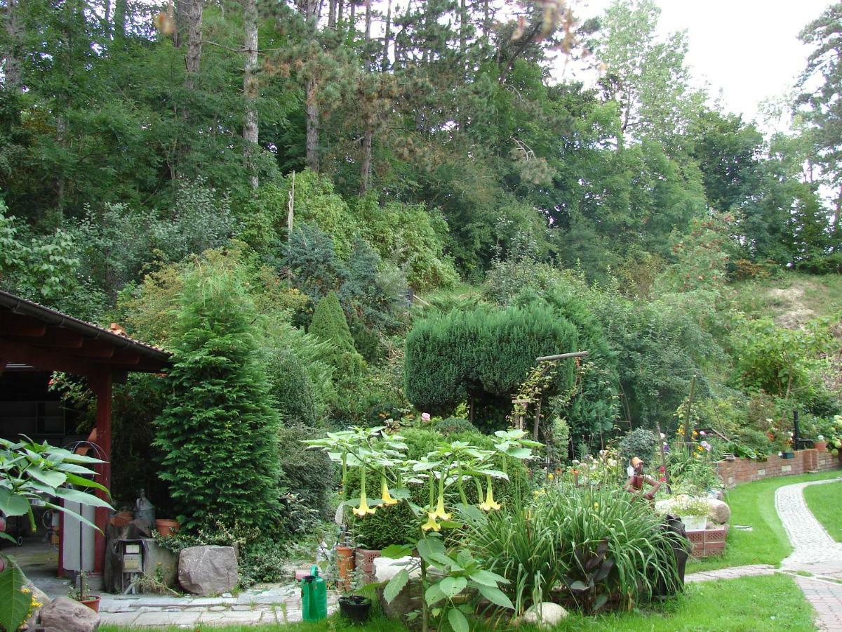 Villa Mielno-Eko Mielno  Bagian luar foto
